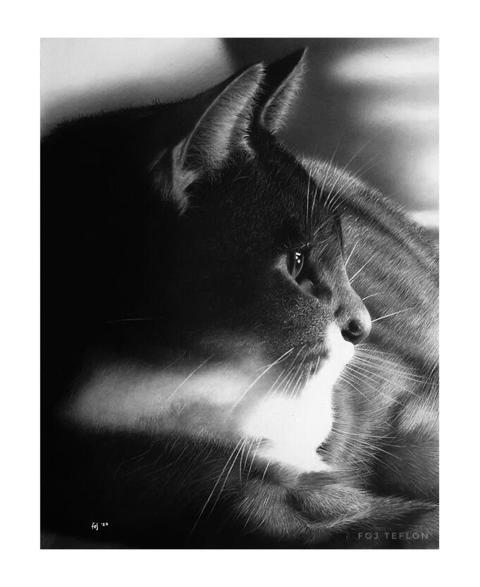 Cat portrait